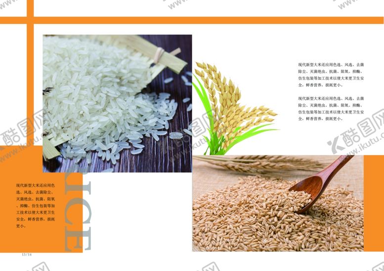 编号：27778609292146285091【酷图网】源文件下载-五谷杂粮海报谷物豆豆素材