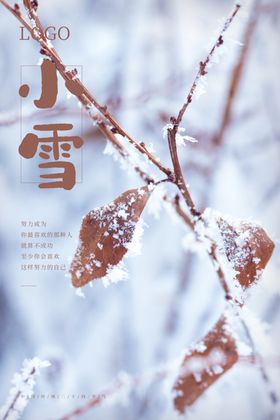 小雪设计主题