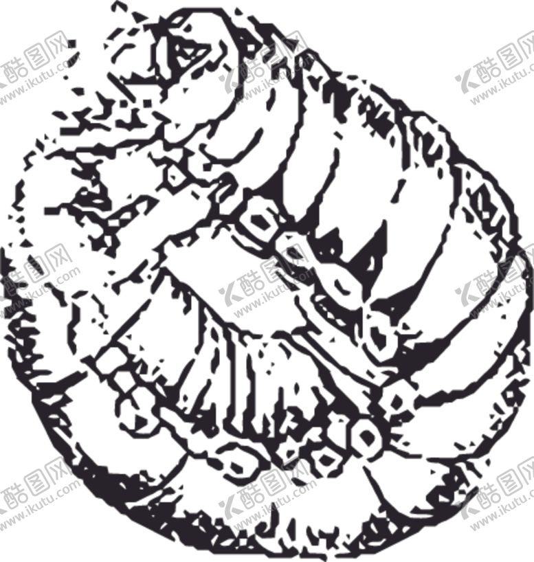 编号：78376410310416428593【酷图网】源文件下载-自然昆虫标本插画