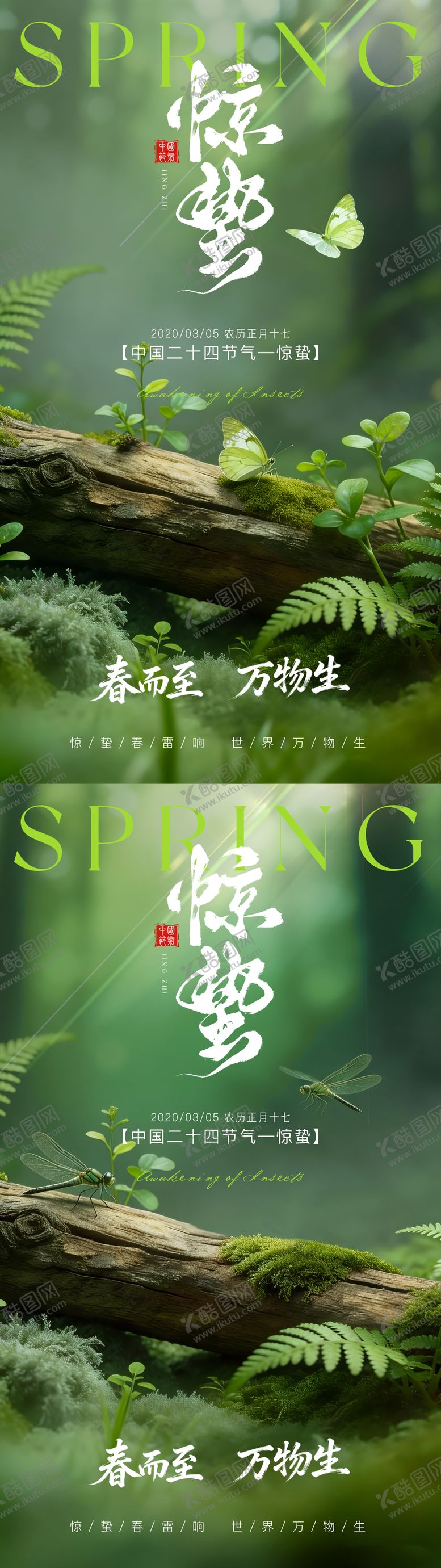 编号：81553202240203231318【酷图网】源文件下载-惊蛰节气海报