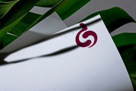 样机LOGOVI样机模版