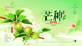芒种海报