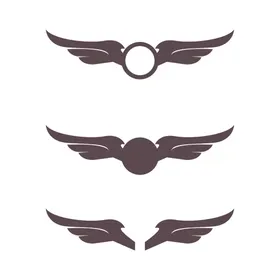 翅膀logo