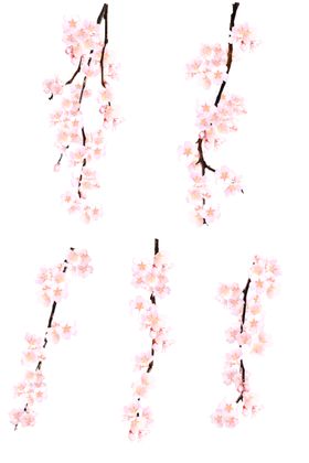 樱花创意绘画图案