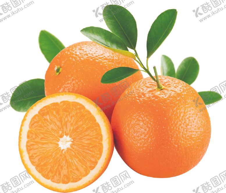 编号：60250409090216574993【酷图网】源文件下载-金桔