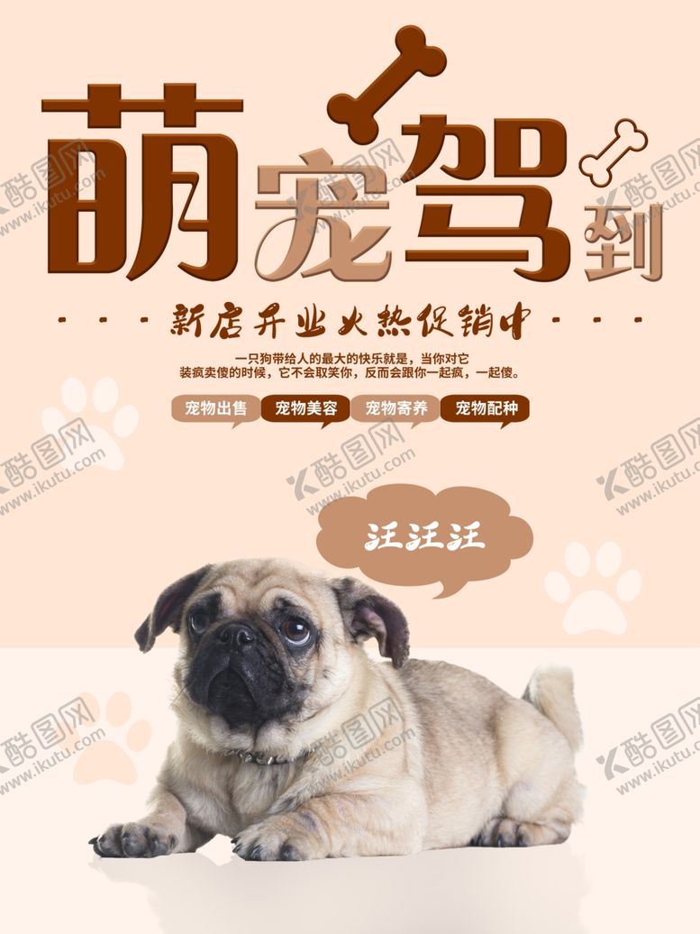 编号：24039310192108005898【酷图网】源文件下载-萌宠