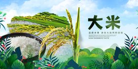 大米