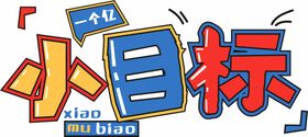 小目标主题字