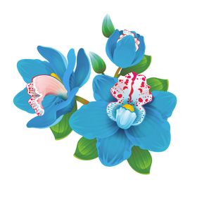 蝴蝶兰手绘花