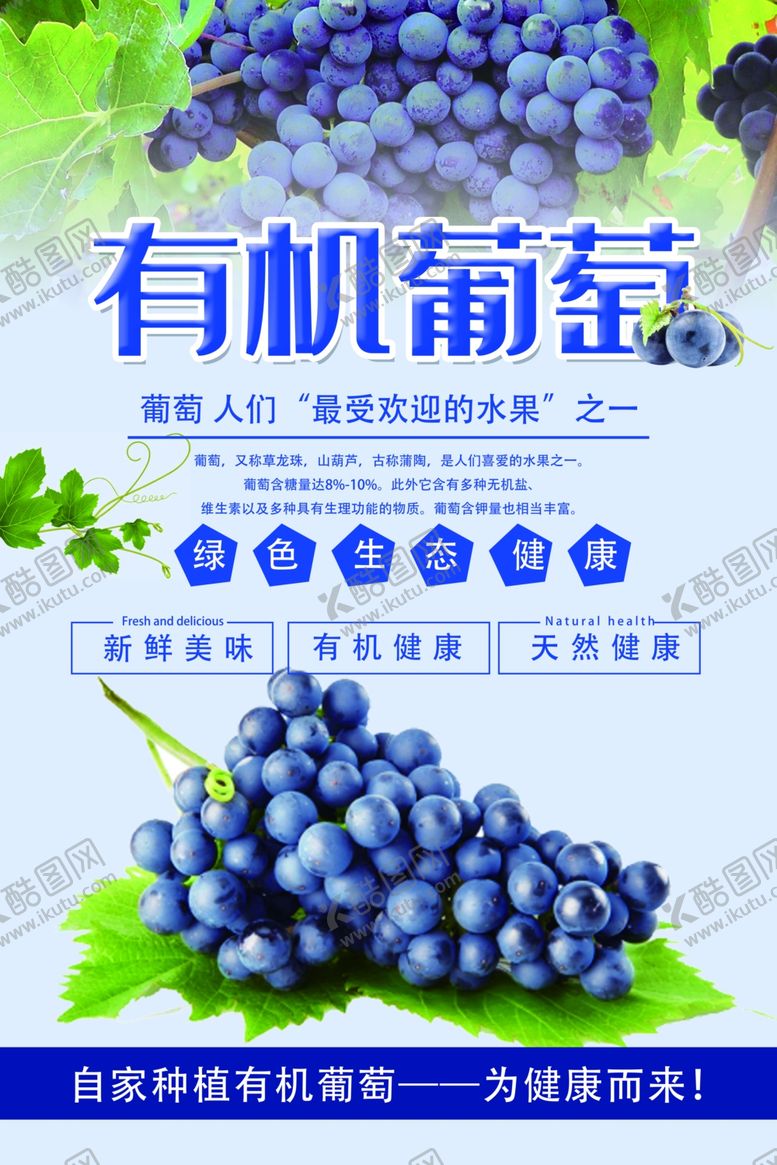 编号：12220307062226362647【酷图网】源文件下载-葡萄