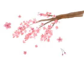 梅花桃花PNG