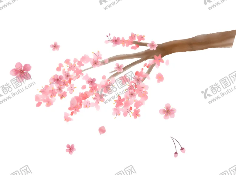 编号：29677801311453468703【酷图网】源文件下载-梅花桃花PNG
