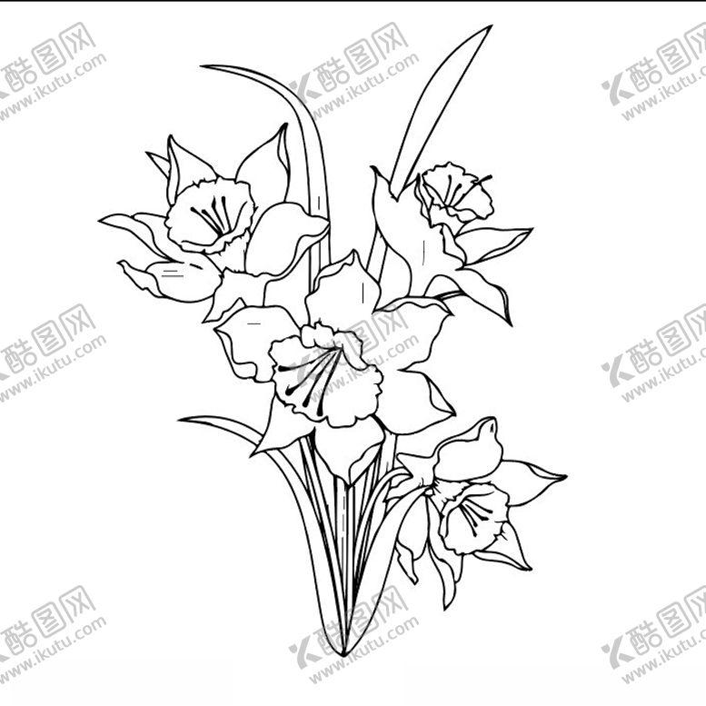 编号：25097302161657051040【酷图网】源文件下载-百合花线稿