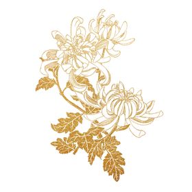 菊花素材