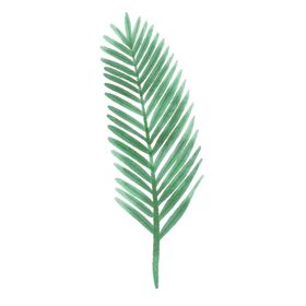 清新水彩植物树叶插画