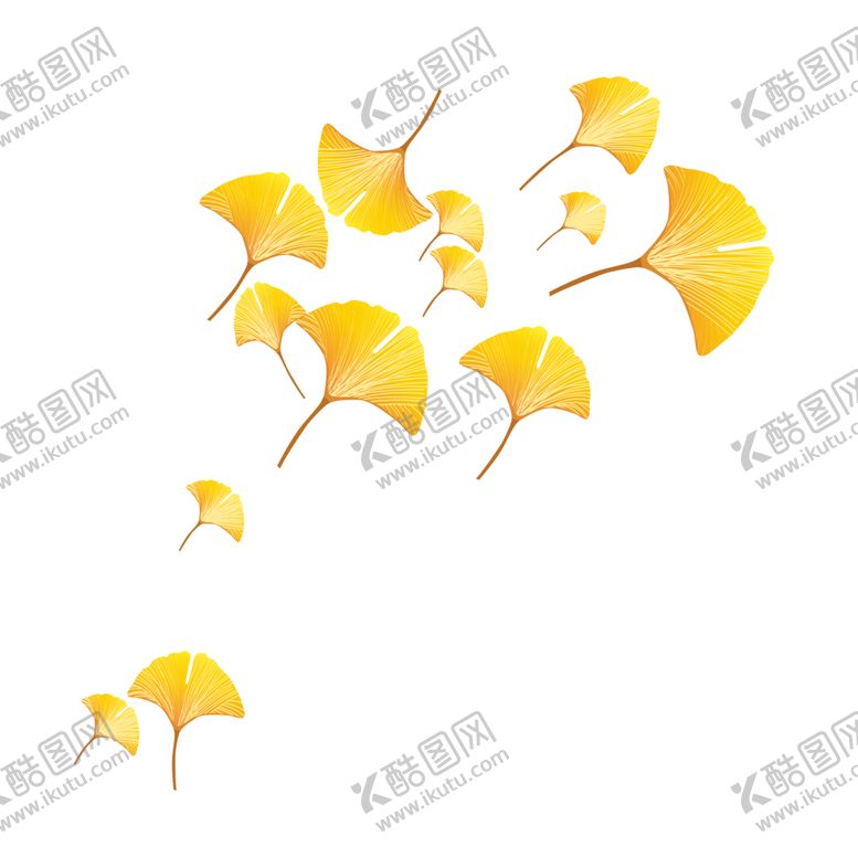 编号：17066709302013546654【酷图网】源文件下载-秋天银杏叶