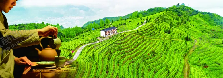 编号：81054209120431463325【酷图网】源文件下载-茶山