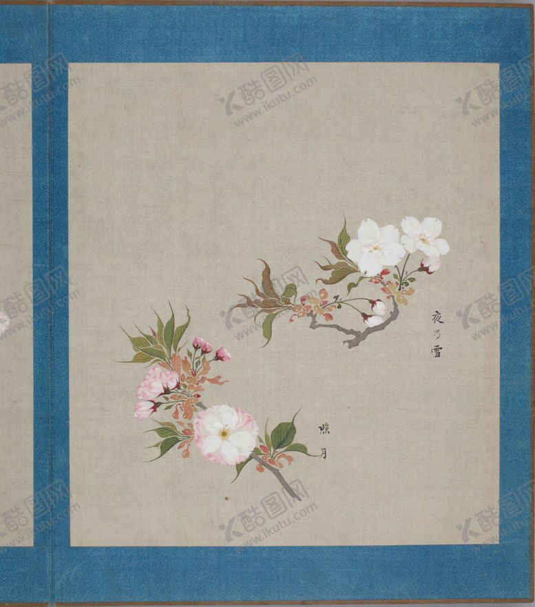 编号：75559006231744528337【酷图网】源文件下载-樱花