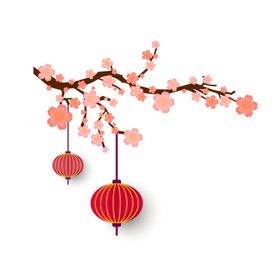 灯笼梅花