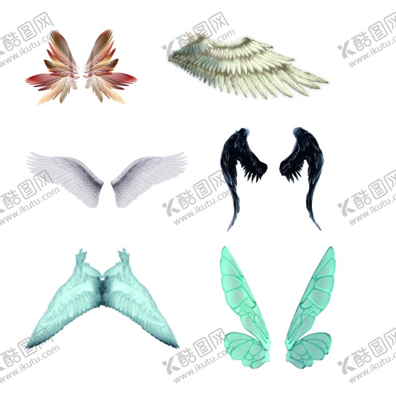 编号：57791906182018562339【酷图网】源文件下载-各种鸟类翅膀