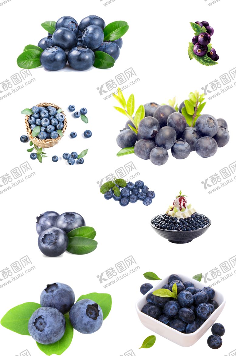 编号：34281909212107526835【酷图网】源文件下载-蓝莓素材