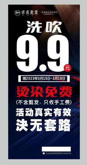 美容美发广告海报盛大开业广告设计