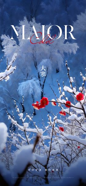 大寒节气移动端海报