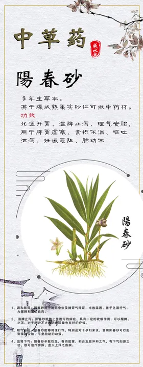 中草药海报