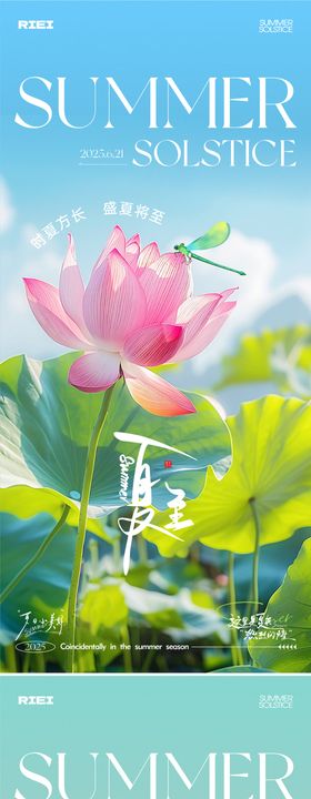 夏至节气海报