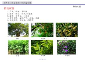 植物