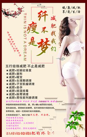 美容养生