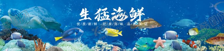 编号：86797201241235235223【酷图网】源文件下载-海鲜水产展板