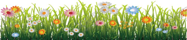 编号：34504309280216357908【酷图网】源文件下载-鲜花素材