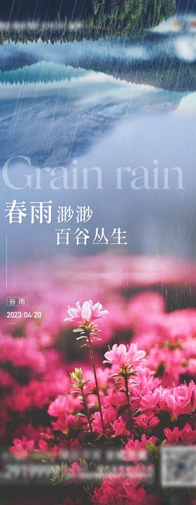 节气谷雨夏至海报