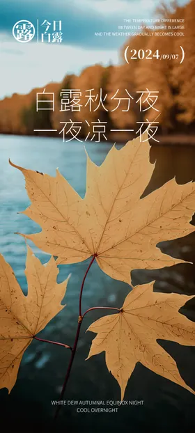 白露广告节气海报微信海报