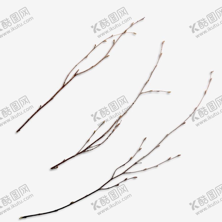 编号：82450501250714547578【酷图网】源文件下载-树枝png