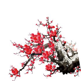梅花素材