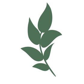 卡通绿叶植物