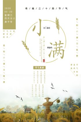 小满节气海报