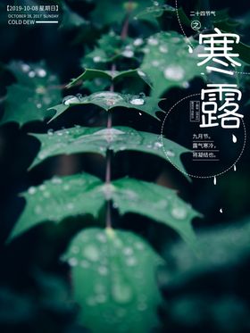 寒露节气小雪冬至大暑