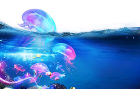 海洋节