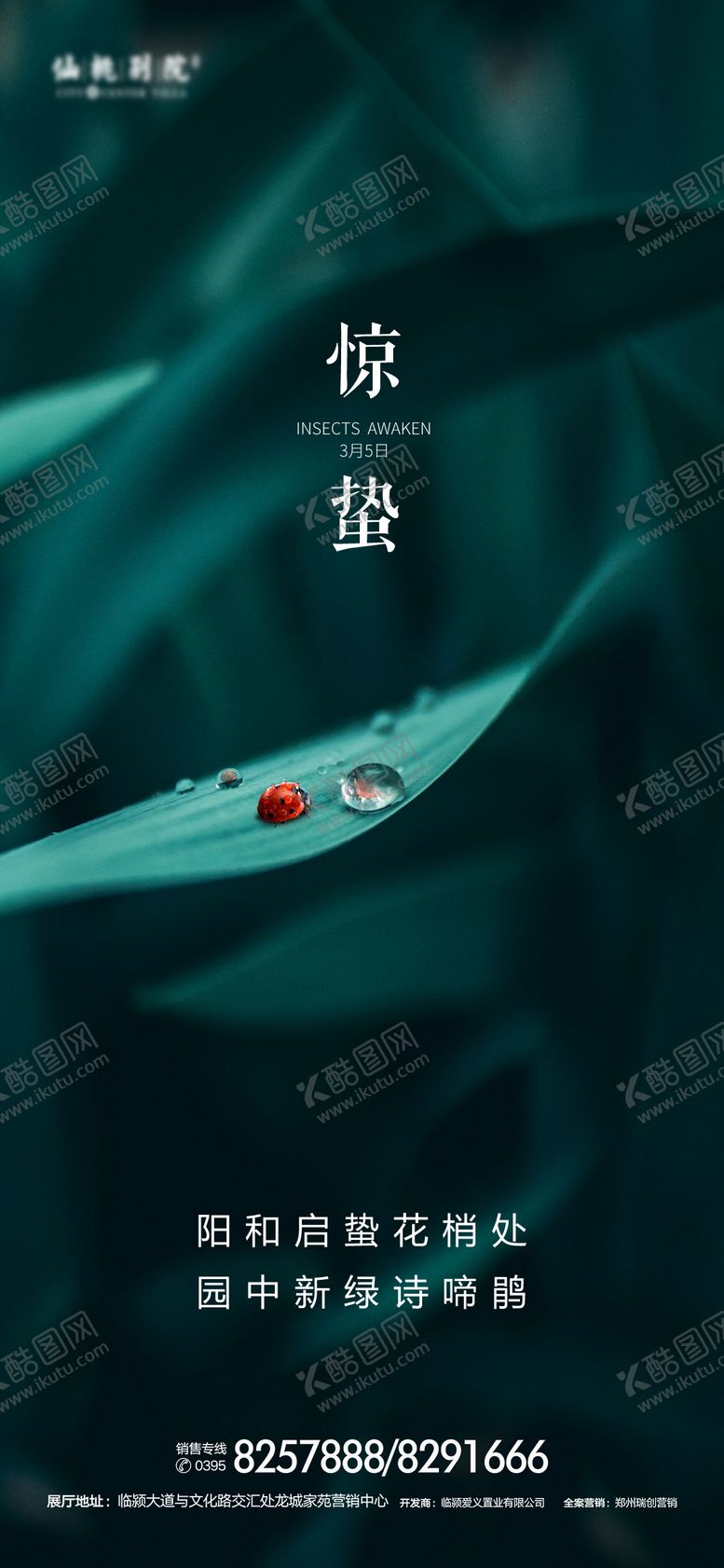 编号：54717411271801327922【酷图网】源文件下载-地产惊蛰节气移动端海报