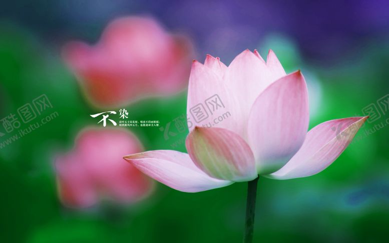 编号：11454609202259474338【酷图网】源文件下载-风景