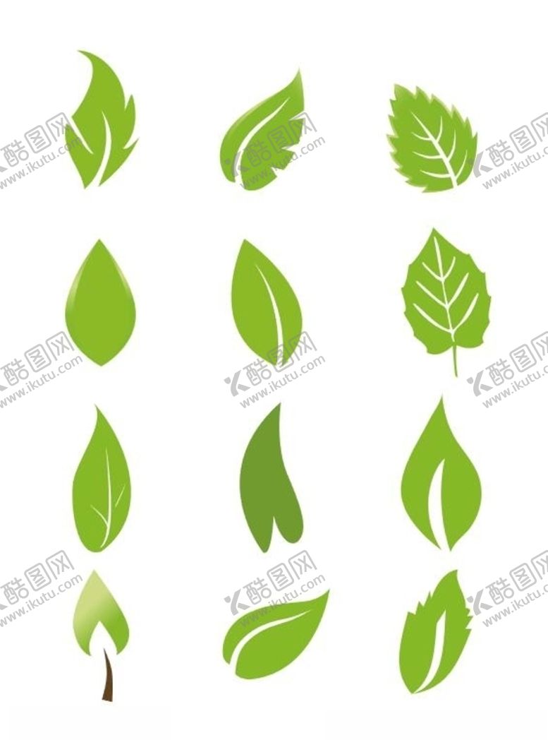 编号：55942109271340427785【酷图网】源文件下载-绿色树叶