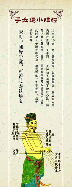 手太阳小肠经