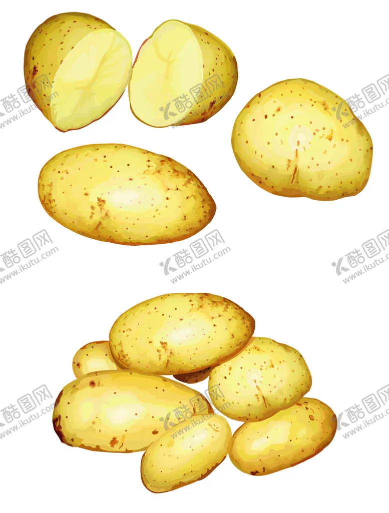 编号：41576209252204050519【酷图网】源文件下载-土豆矢量素材