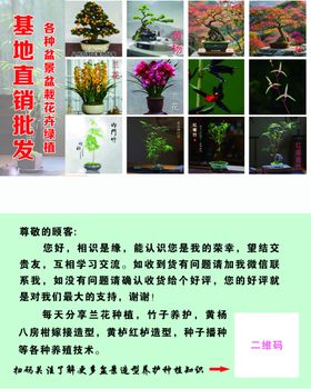 绿植花卉批发