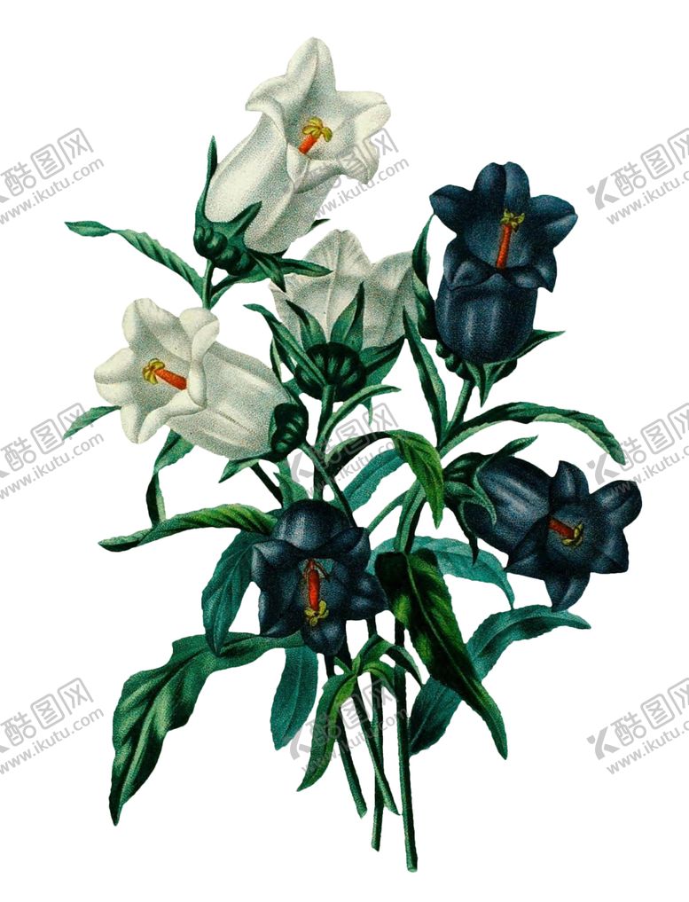 编号：54884906270213599028【酷图网】源文件下载-复古鲜花主题装饰图案