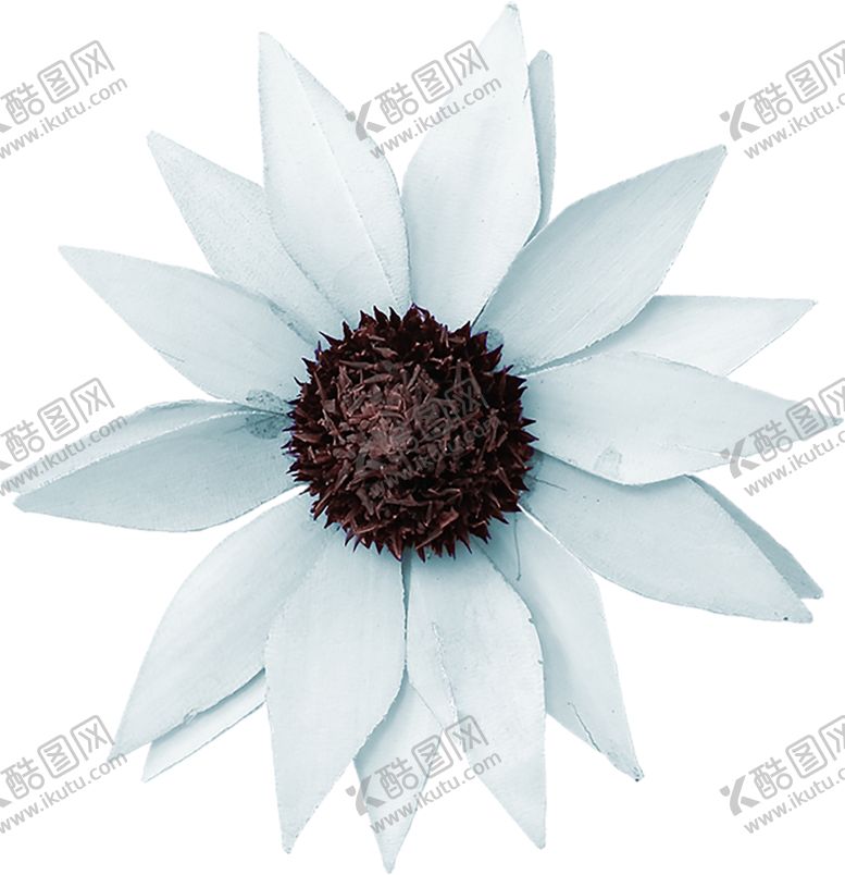 编号：80924807092252277047【酷图网】源文件下载-鲜花素材