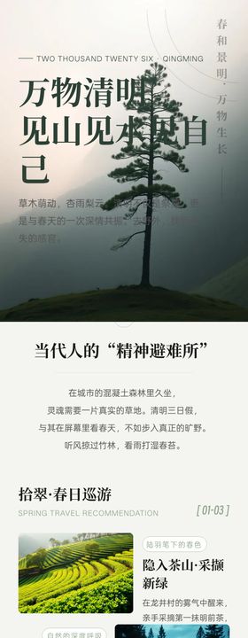 清明·宣传长图海报